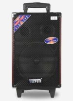 Loa vali kéo Temeisheng Q8S chính hãng - Kèm 2 Micro không dây - Ảnh 3