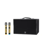 Loa Dalton PS-K8A Luxury